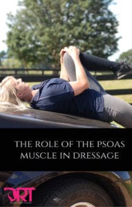 the-role-of-the-psoas-muscle-in-dressage