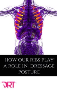 how-our-ribs-play-a-role-in-dressage-posture