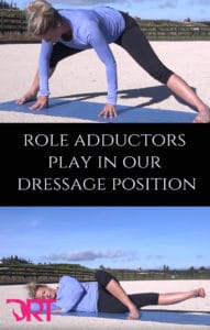 the role adductors play in our dressage position