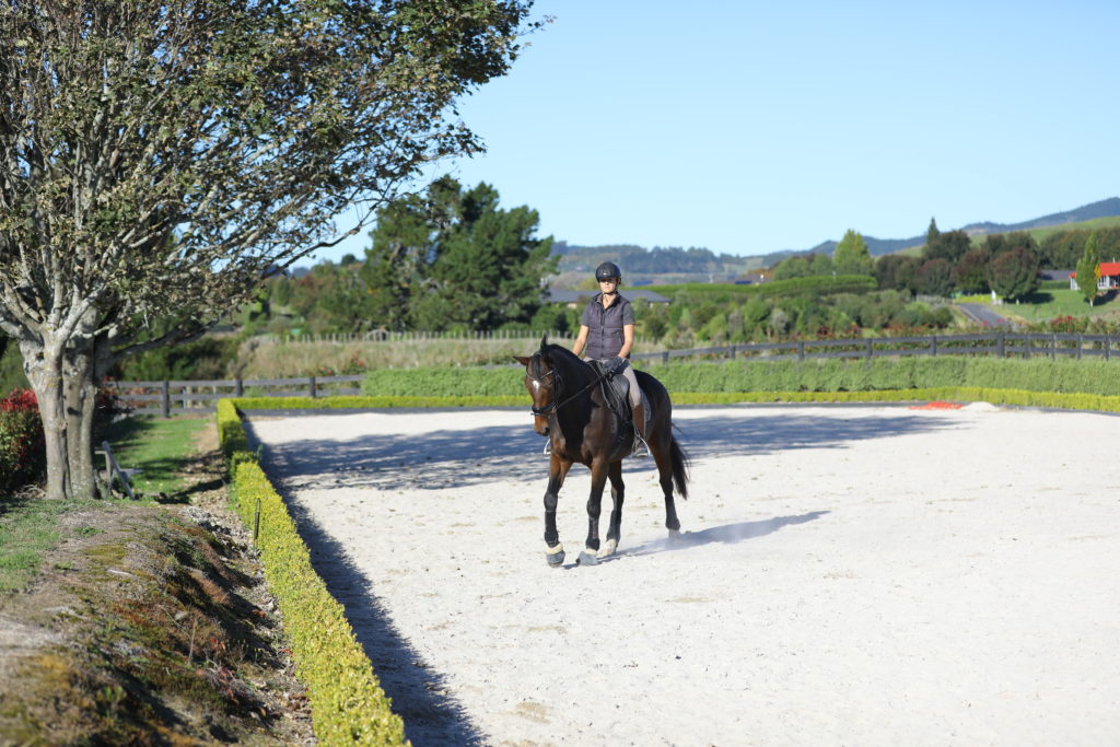 how to build core strength for dressage