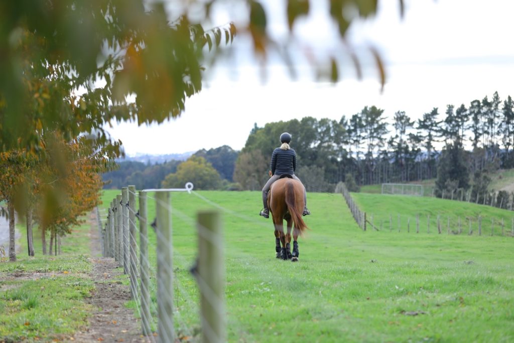 Equestrian Workouts To Improve Your Riding